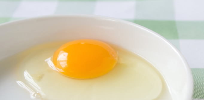 egg